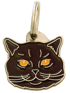 Gato de pelo curto inglês chocolate <br> (placa de identificação para gatos, Gravado incluído)